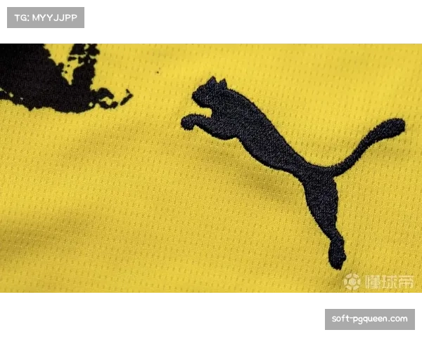 彪马与多特蒙德签署为期十年的新装备赞助合同，金额创俱乐部纪录