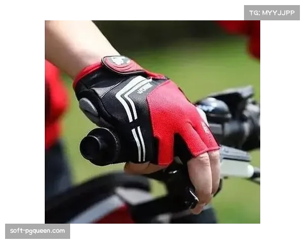 浙江骑行相关产业规模达45亿元，年均增速超15%